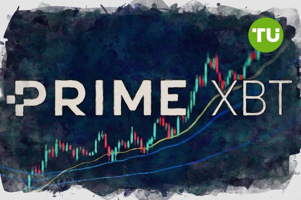 Exploring the Dynamics of Cryptocurrency Trading on PrimeXBT