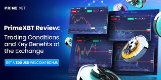 Exploring the Dynamics of Cryptocurrency Trading on PrimeXBT